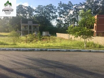 Lote 100% plano