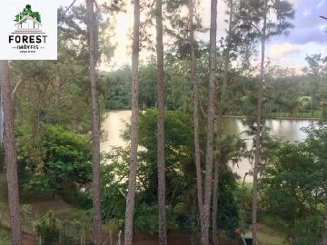 vista lago